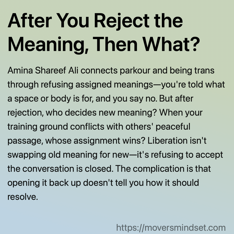After You Reject the Meaning, Then What?