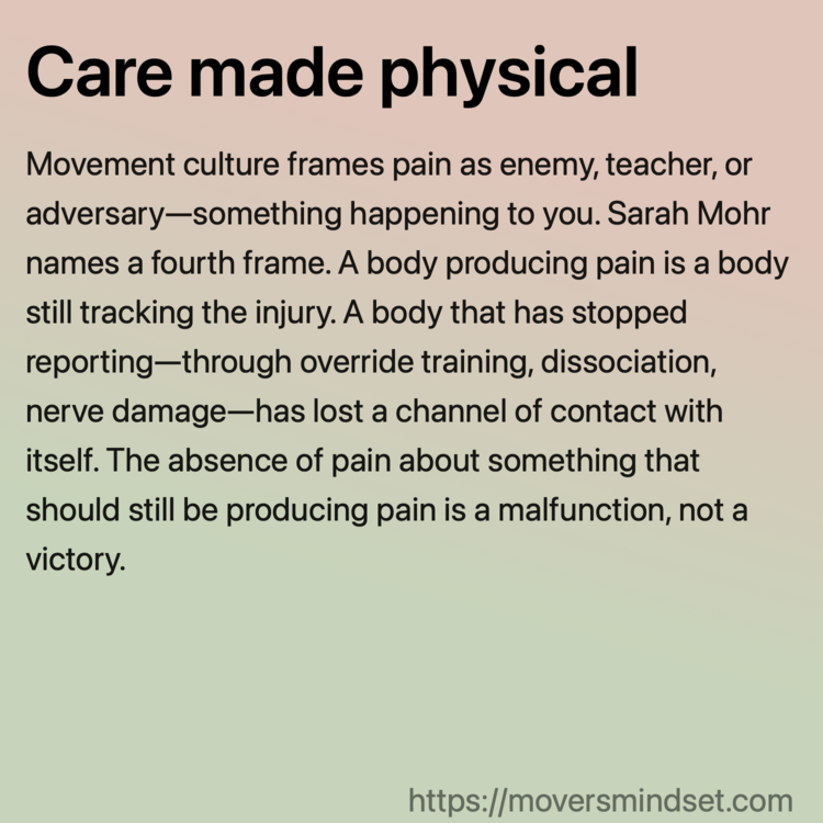 Care made physical